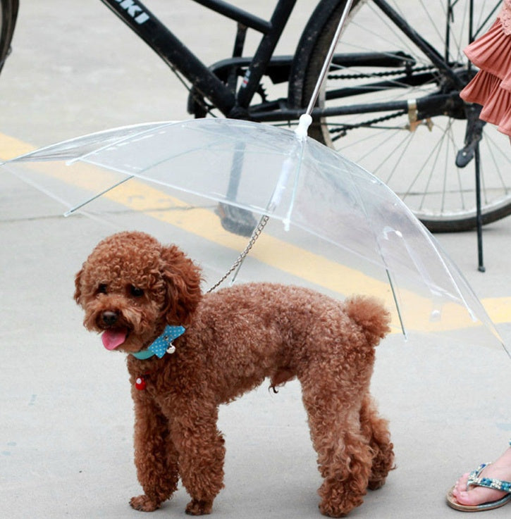 Premium Dog Umbrella Options: Keep Your Canine Dry - Best Elanaz Store