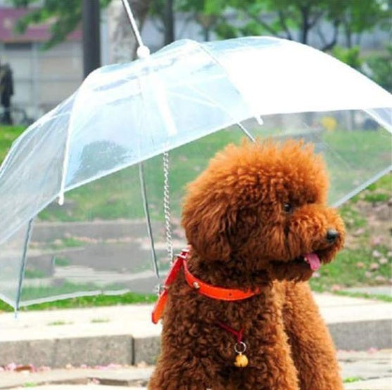 Premium Dog Umbrella Options: Keep Your Canine Dry - Best Elanaz Store