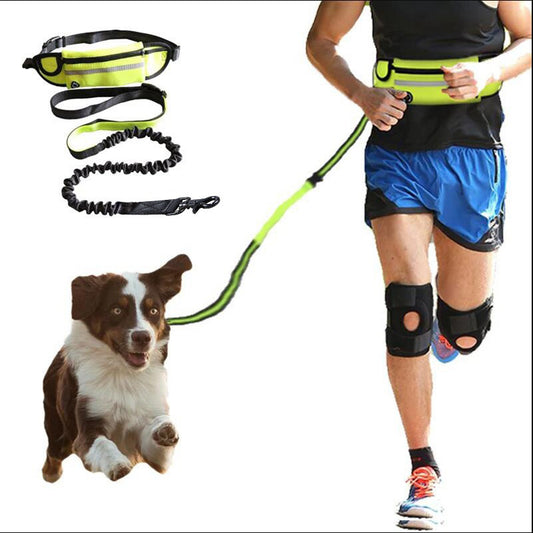 Hands Free Dog Leash Pet Walking and Training