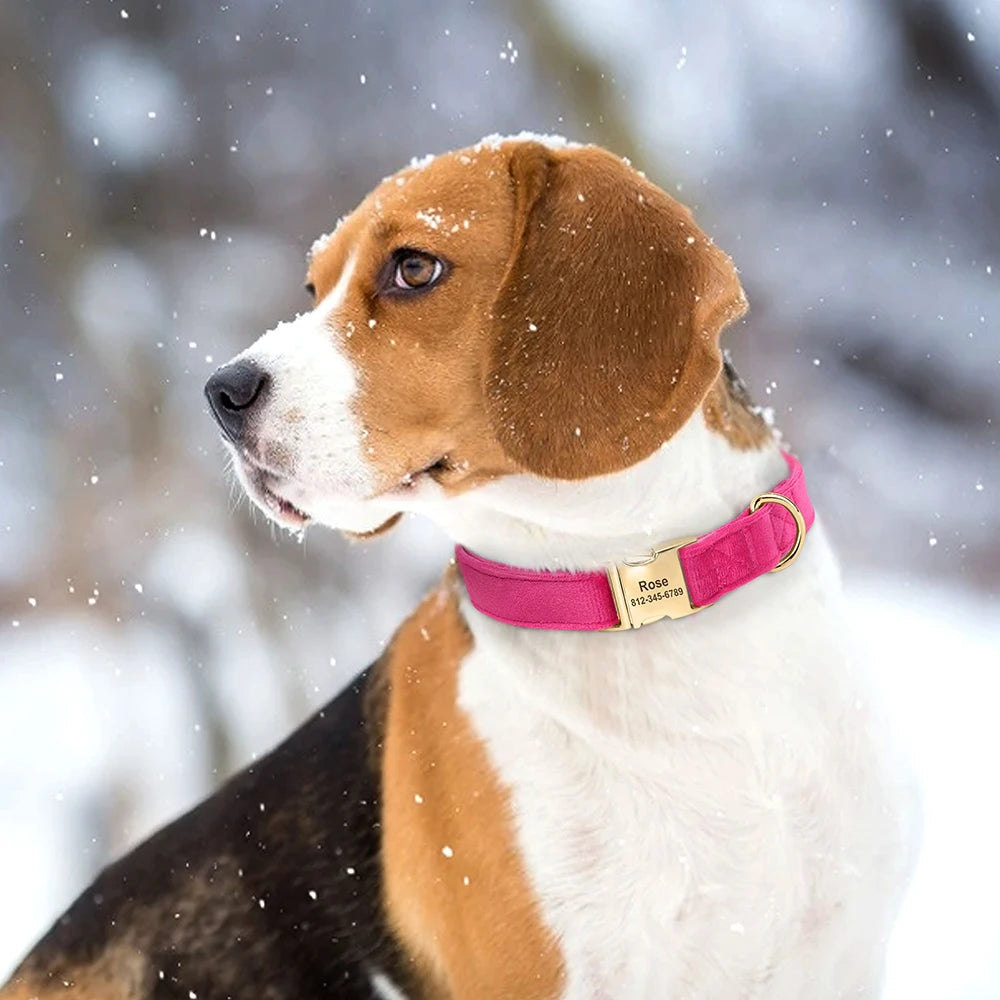 Personalized Velvet Dog Collar Super Soft Dogs ID Buckle Collars.